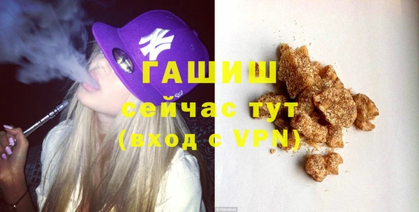 мдпв Гусев
